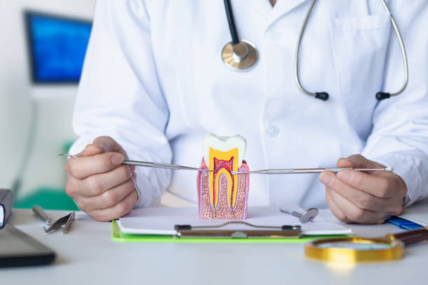 Best Emergency Treatment for Dental Infections or Abscesses in Mcgehee, AR